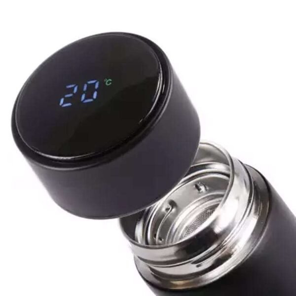 Temperature Water Bottle